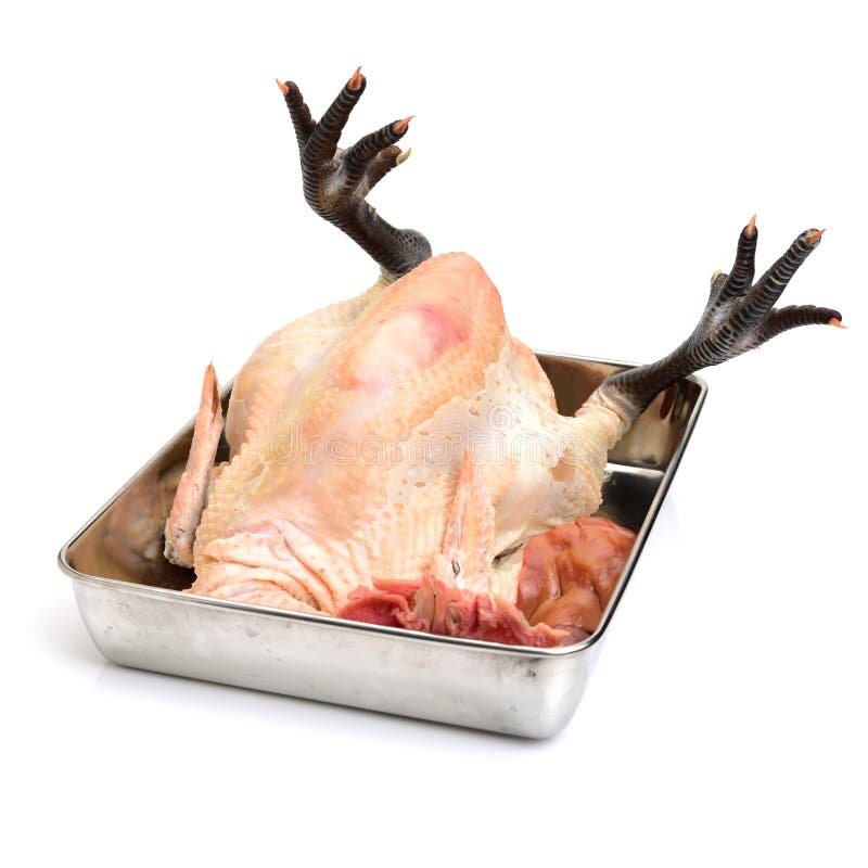 Raw black feet chicken stock image. Image of poultry - 101321839