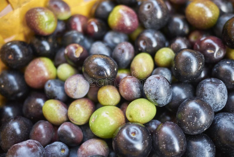 Raw black olives stock photo. Image of cuisine, olive 108062752