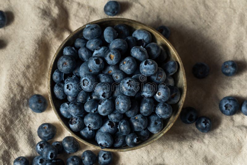Raw Blue Organic Blueberries Stock Image Image of fruit, closeup