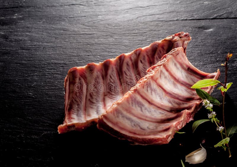Raw Boar Spare Ribs with Fresh Herbs Stock Photo Image of fresh