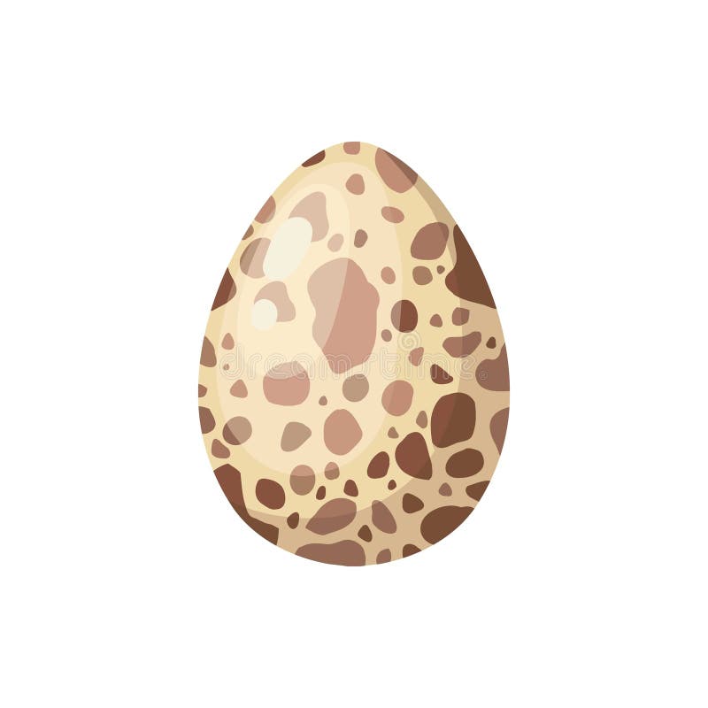 Raw boiled egg. Cartoon chicken or quail egg carton tray pack, eco protein meal breakfast half fried fresh yolk in brown vector illustration