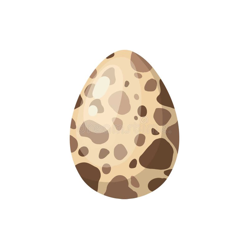 Raw boiled egg. Cartoon chicken or quail egg carton tray pack, eco protein meal breakfast half fried fresh yolk in brown stock illustration