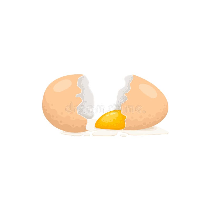 Raw boiled egg. Cartoon chicken or quail egg carton tray pack, eco protein meal breakfast half fried fresh yolk in brown vector illustration