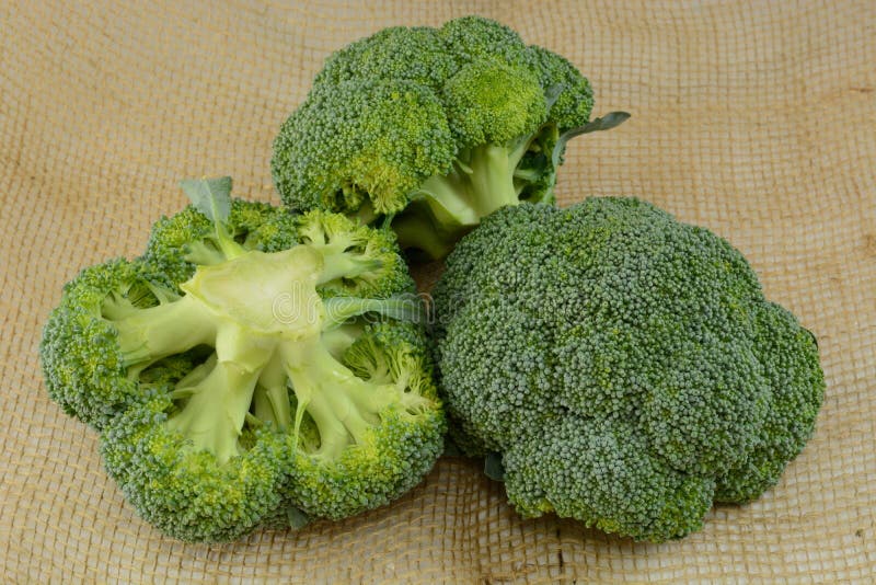 Three heads of broccoli stock image. Image of cook, bunch 2356895