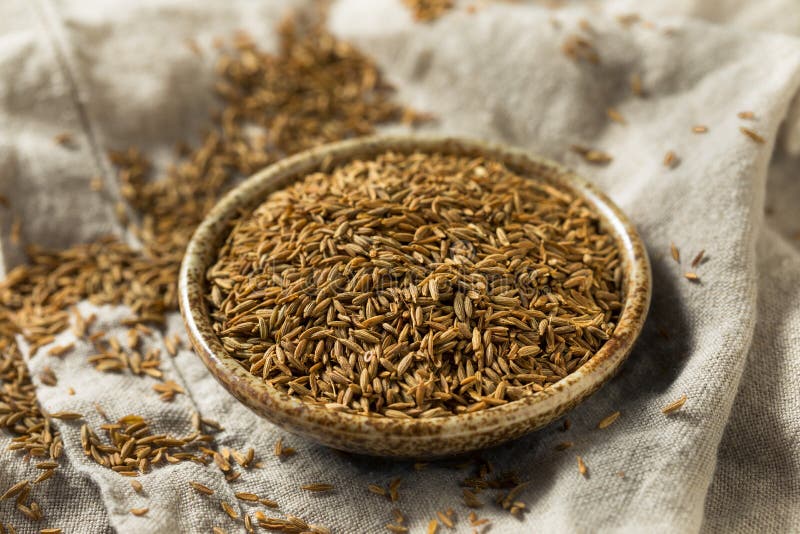 Raw Brown Organic Cumin Seed Stock Image Image of caraway, pile