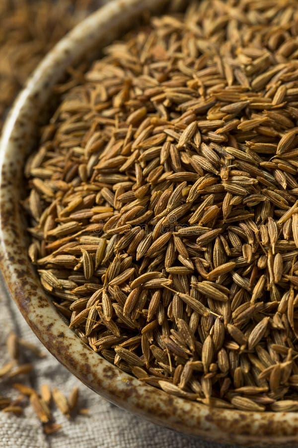 Raw Brown Organic Cumin Seed Stock Photo Image of natural, ingredient