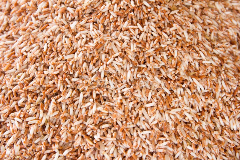 Raw brown rice stock image. Image of unprocessed, jasmine 79974925