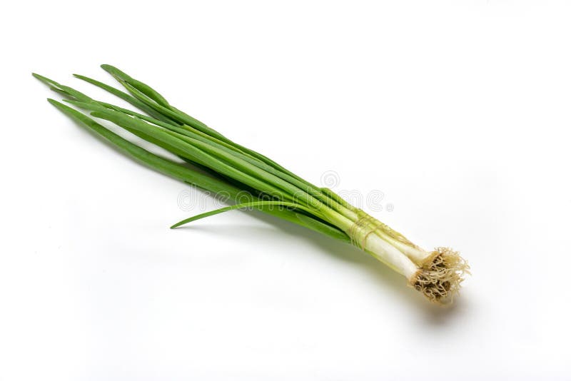 Raw bunch of young green onions isolated on white background