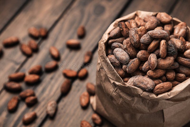 Raw Cacao Beans stock image. Image of food, wooden, cacao 174224331