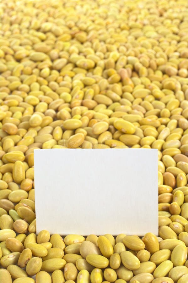 Raw Canary Beans stock image. Image of spoon, ingredient 21357395