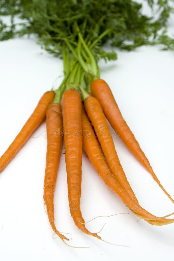 Raw carrots stock image. Image of white, agriculture, cooking 6128629