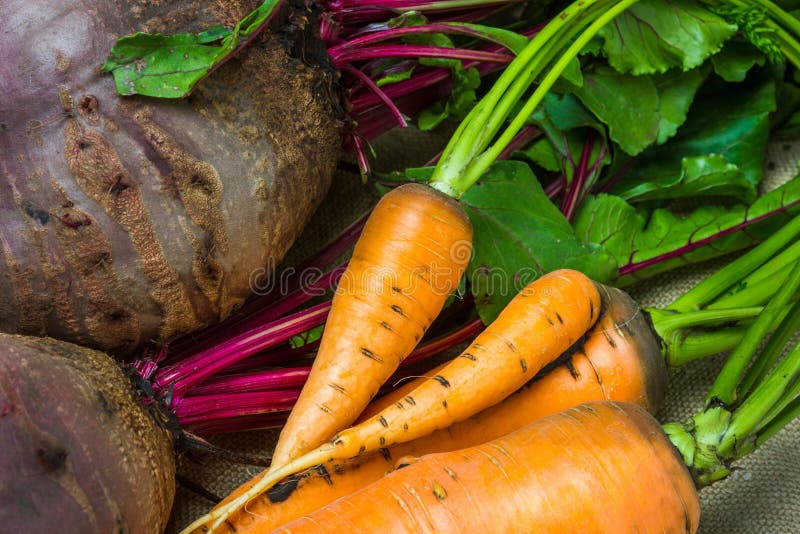 Raw carrots and beets