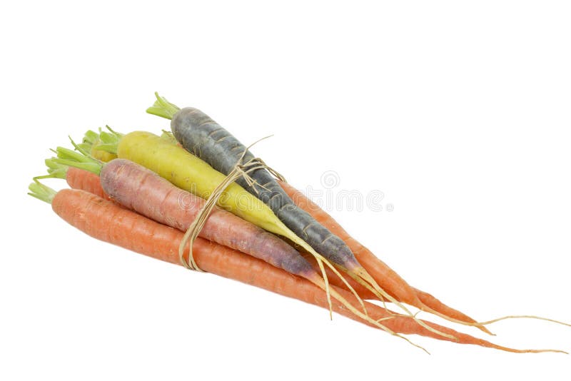 Raw carrots with different colors