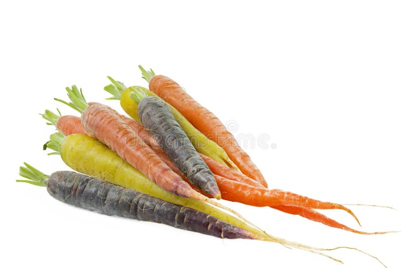 Raw carrots with different colors