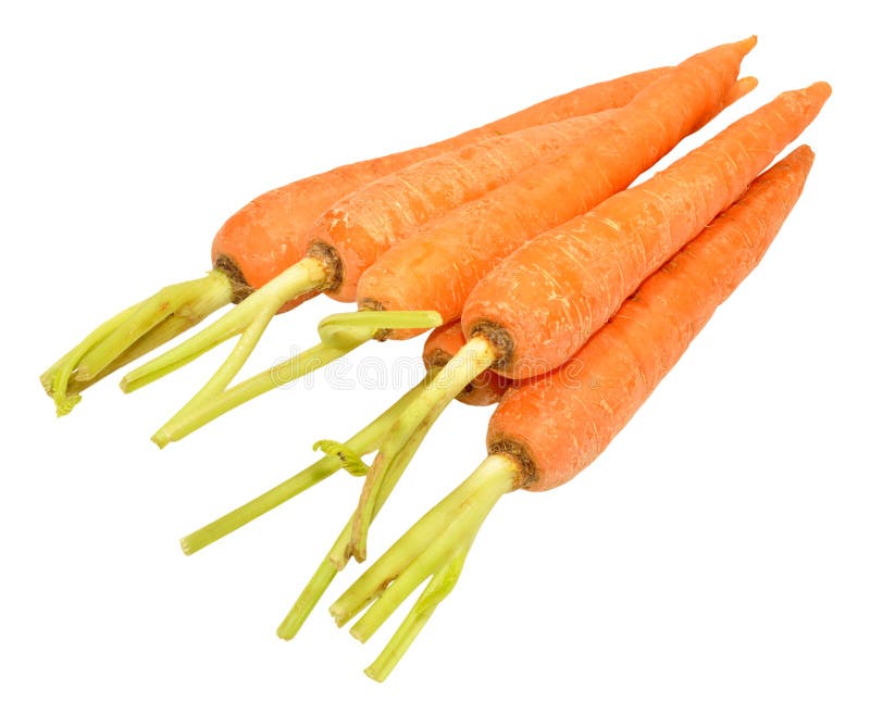 Raw Carrots stock photo. Image of orange, carrot, background 49609582