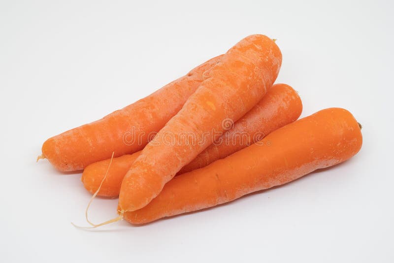 Raw Carrots Isolated on White Background Stock Image Image of cooking