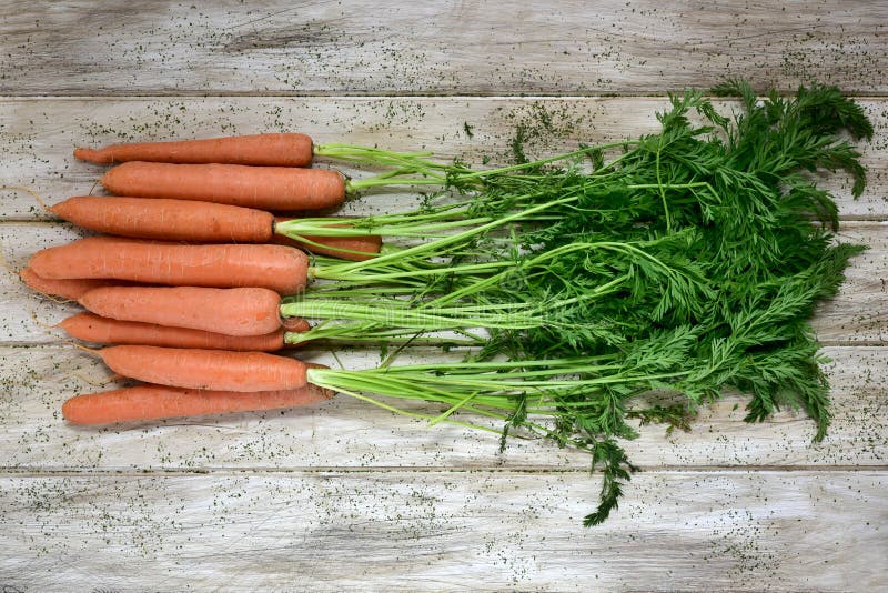 Raw carrots on a rustic white table