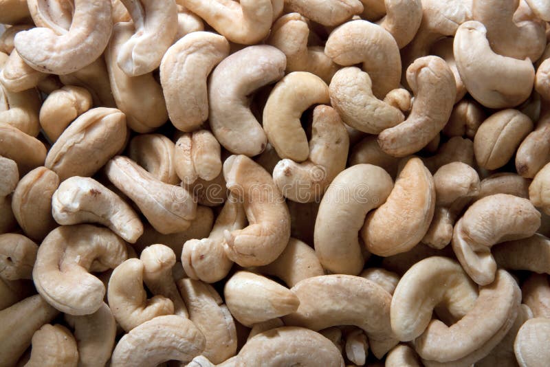 Raw cashew nuts stock image. Image of phosphorus, nutrition 14368167