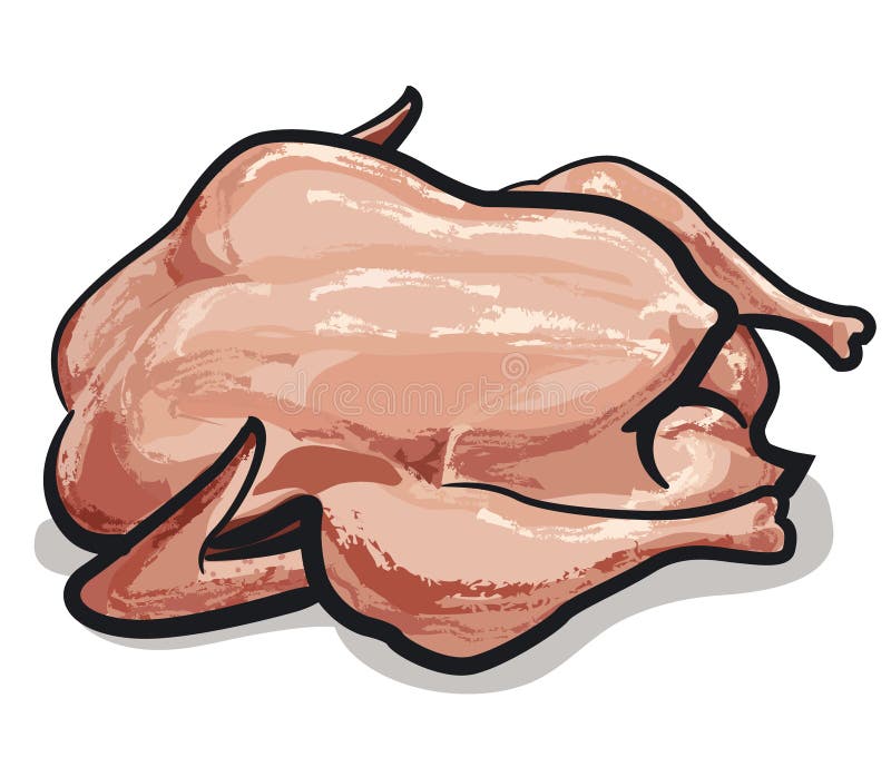 Raw chicken stock illustration. Illustration of organic - 29313682