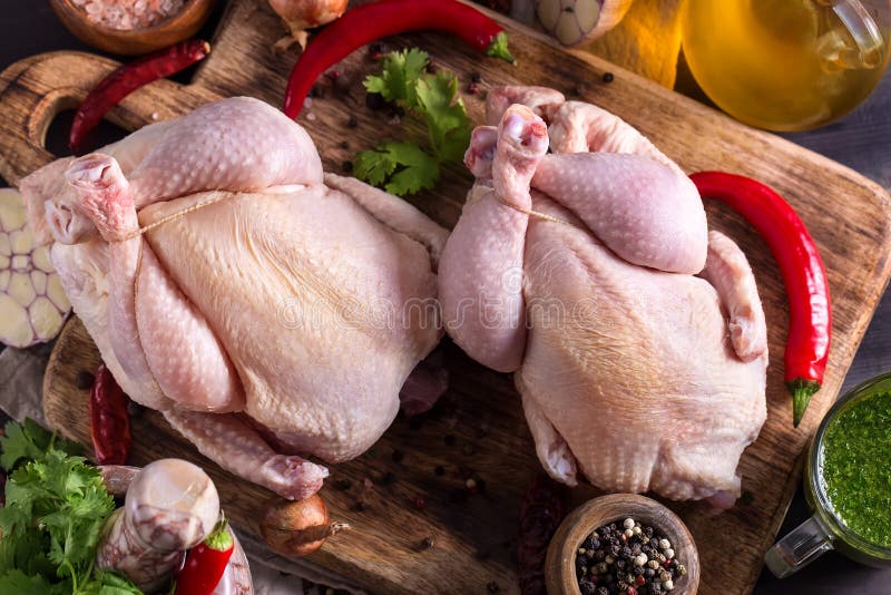 Raw Chicken with Herbs and Spices Stock Image Image of nutrition