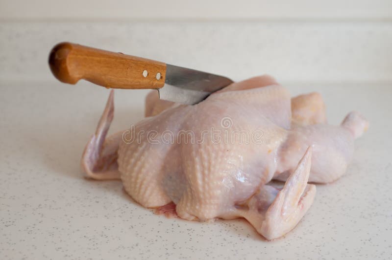 Raw Chicken Meat With Carving Knife Stock Photo Image of knife, full