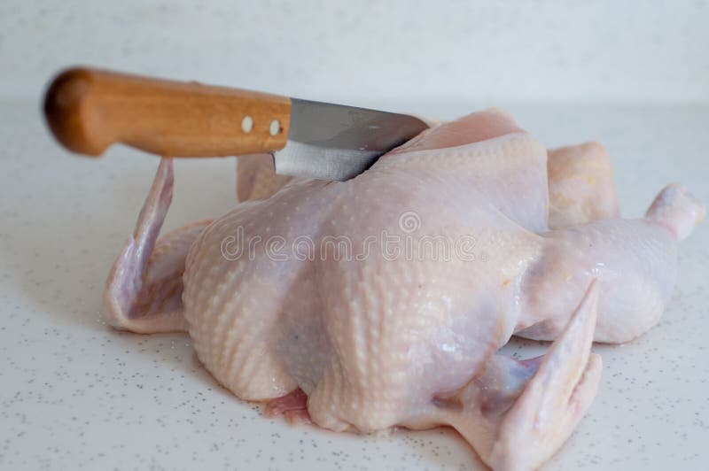 Raw Chicken Meat with Carving Knife Stock Photo Image of board
