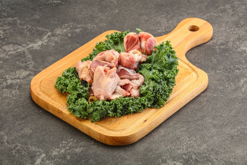 Raw Chicken Stomach for Cooking Stock Photo Image of gizzard, bird