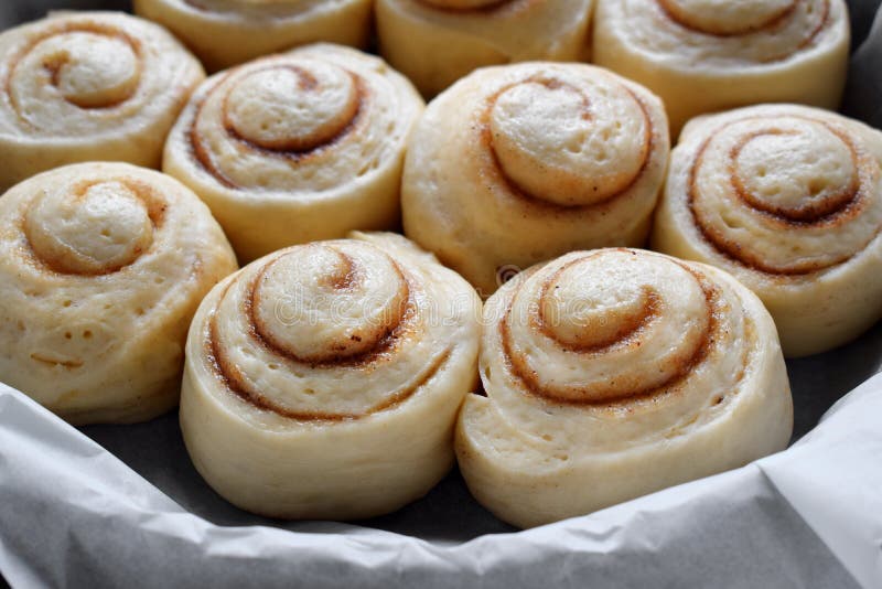 Raw cinnamon rolls of yeast dough ready to be baked. Raw fresh yeast dough stock images, royalty-free photos and pictures
