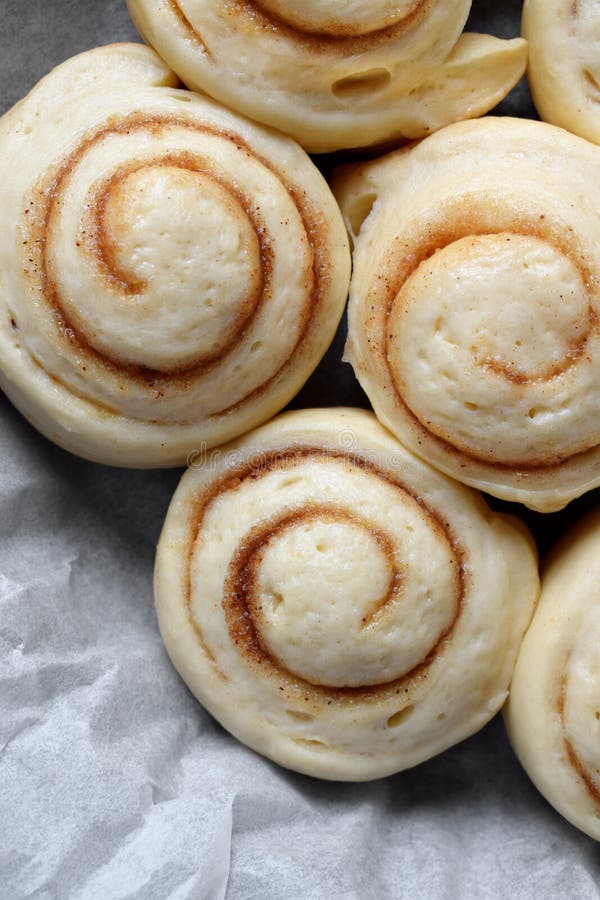Raw cinnamon rolls of yeast dough ready to be baked. Raw fresh yeast dough stock images, royalty-free photos and pictures