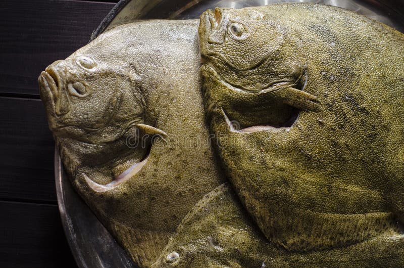 Raw flounder fish stock image. Image of color, salt 107921893