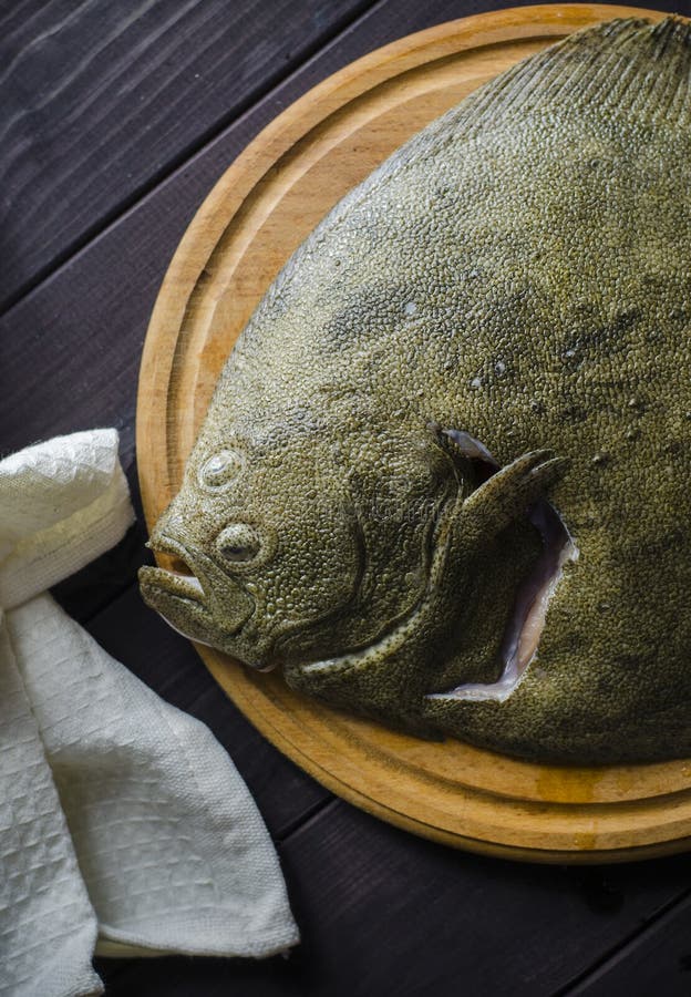Raw flounder fish stock image. Image of preparation 107921807
