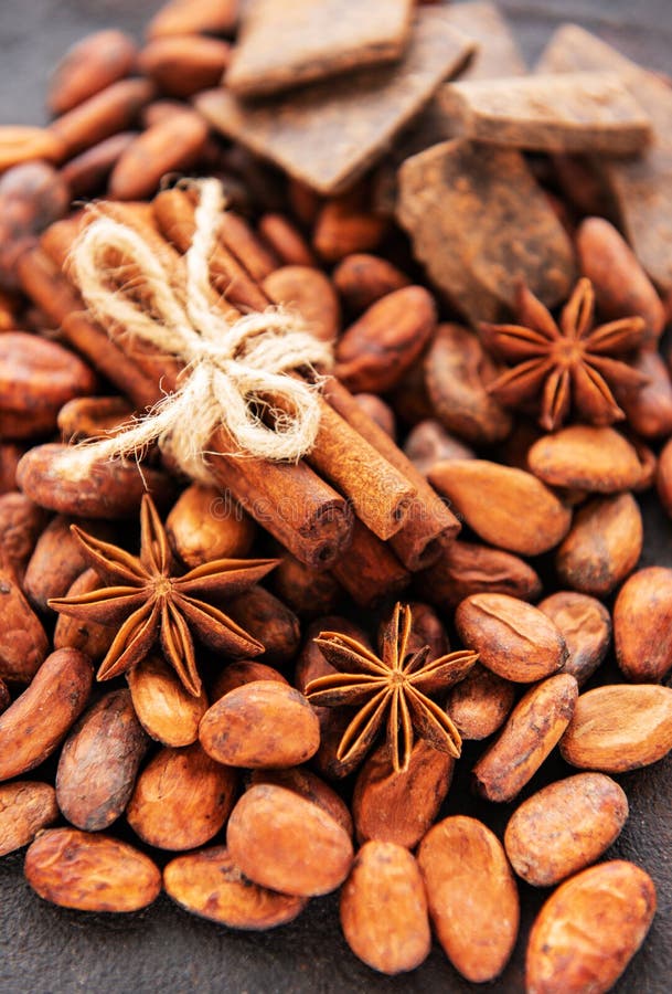 Cocoa beans and spices royalty free stock photo Cocoa beans and spices royalty free stock photo