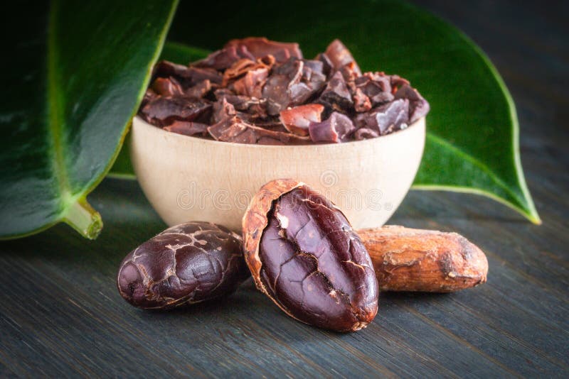 Raw cocoa beans formastero, whole and ground, close-up stock photography Raw cocoa beans formastero, whole and ground, close-up stock photography