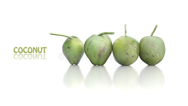 Raw Coconut Set Isolated on White Background with Clipping Path. 3D Render. vector illustration