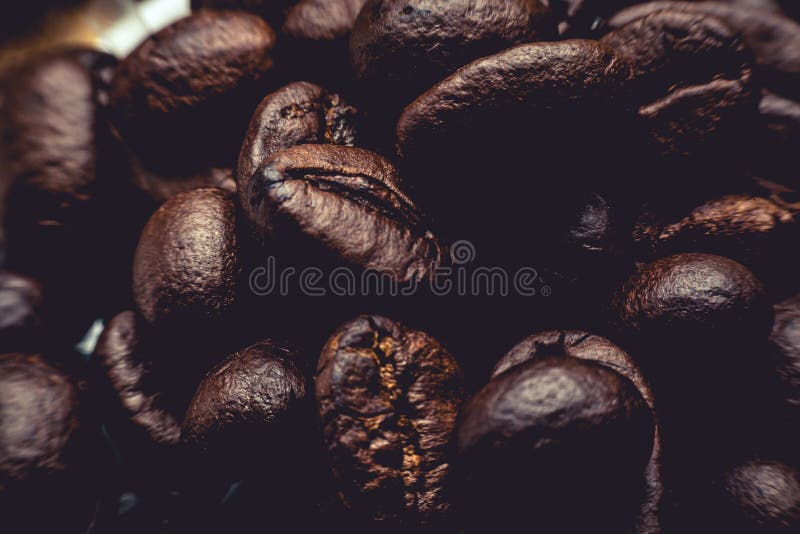 The Raw Coffee Beans are Preparing To Grind into Delicious Coffee.this Image is Soft Focus Stock