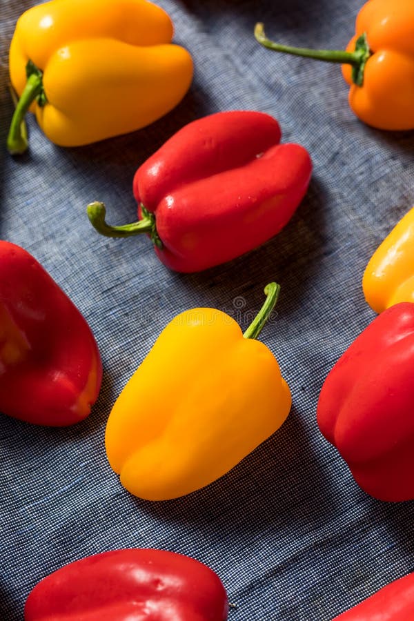 Raw Colorful Mini Bell Peppers Stock Image Image of health, small 158883331