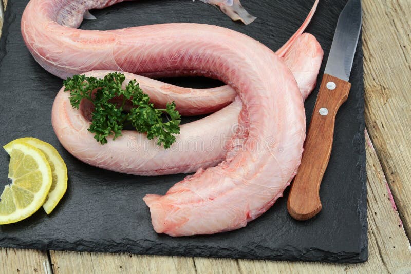 Raw dogfish stock image. Image of food, fresh, kitchen 166210945