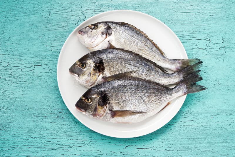 550,905 Fish Plate Stock Photos Free & RoyaltyFree Stock Photos from