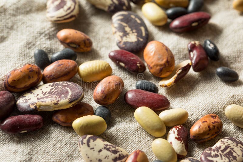 Raw Dried Organic Bean Assortment Stock Photo Image of ingredient