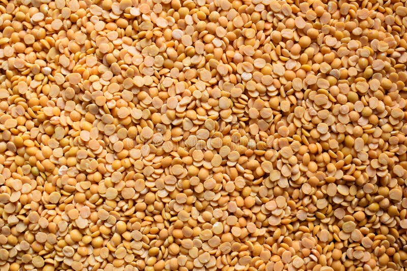 Split Pigeon pea lentil stock image. Image of ingredient 201953117