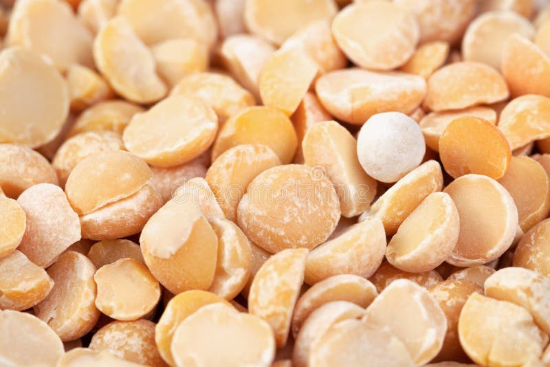 Raw Dried Uncooked Pea Beans Heap Macro Stock Photo Image of nature