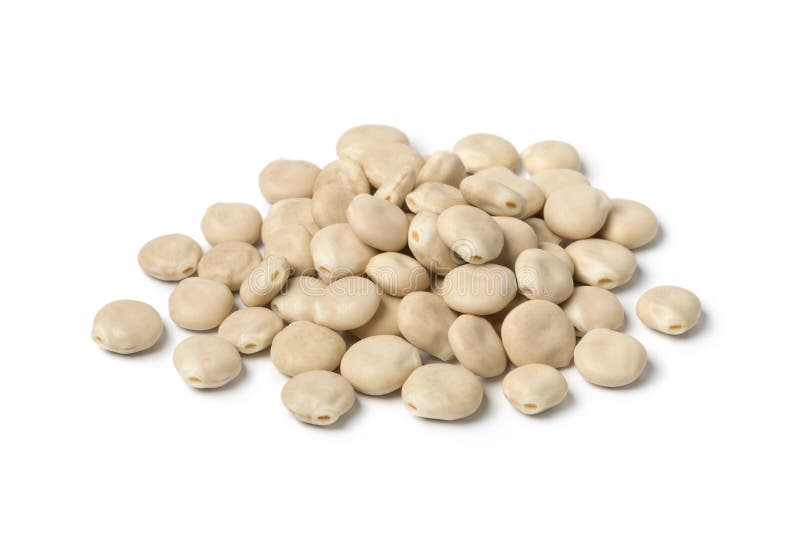 Raw dried white lupin seeds stock images