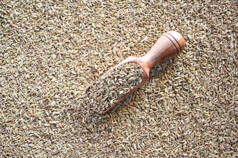 Raw dry fennel seeds stock image. Image of antioxidant 203705581