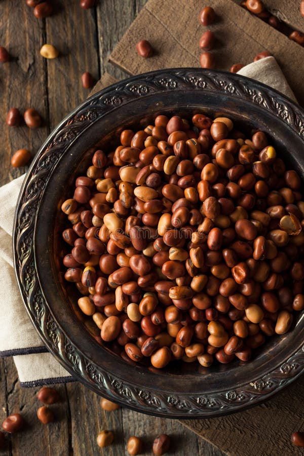 Raw Dry Organic Fava Beans stock image. Image of nature 70309665