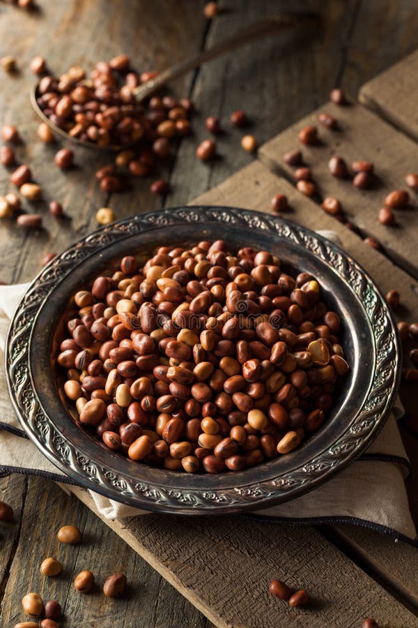 Raw Dry Organic Fava Beans stock image. Image of nutritional 70310661