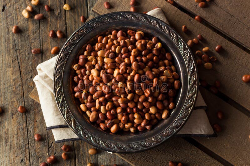 Raw Dry Organic Fava Beans stock image. Image of harvest 70310721