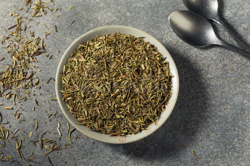 Thyme spice stock image. Image of leaves, healthy, plant - 36692497