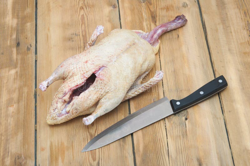 Raw duck and knife