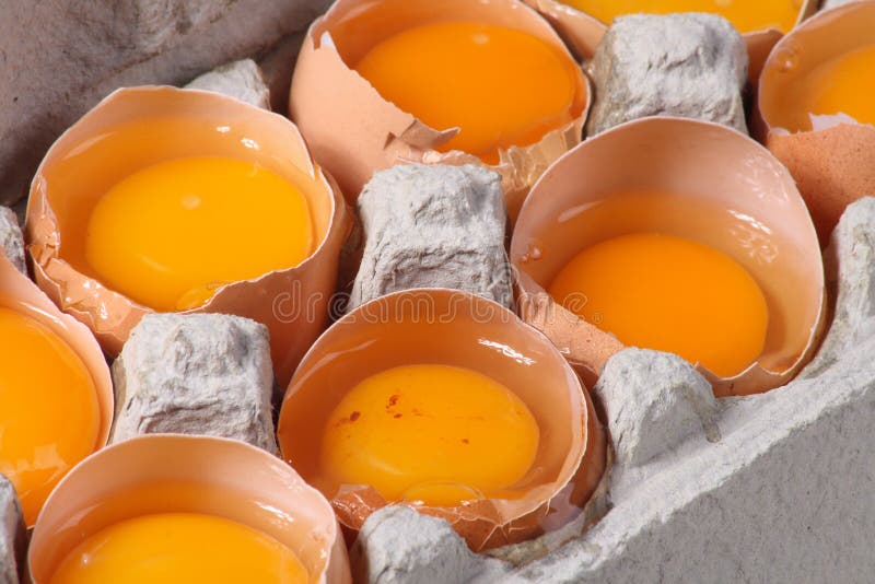 Raw eggs stock image. Image of dozen, diet, background 12808275