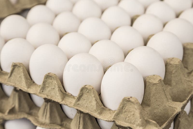 Raw eggs in carton displays for sale in a food market